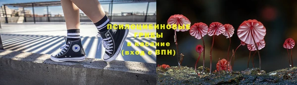 a pvp Иннополис