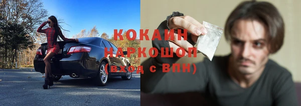 мдпв Инта