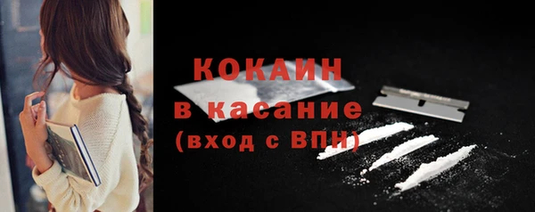 молекула духа Инсар