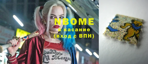 мдпв Инта