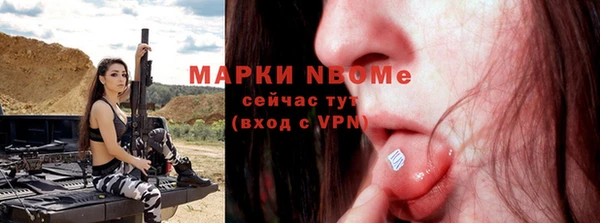 мдпв Инта
