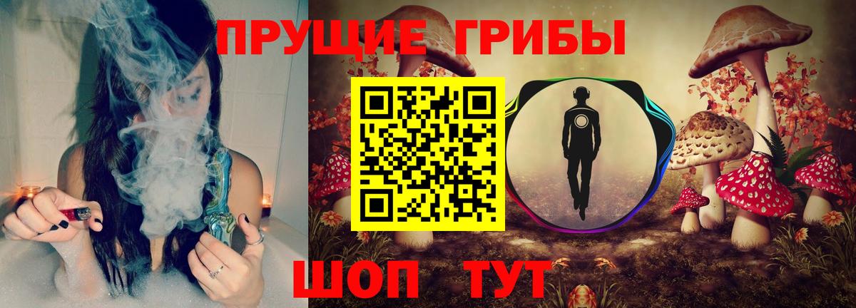 Качканар  Галлюциногенные грибы Psilocybe  Вход с VPN 
