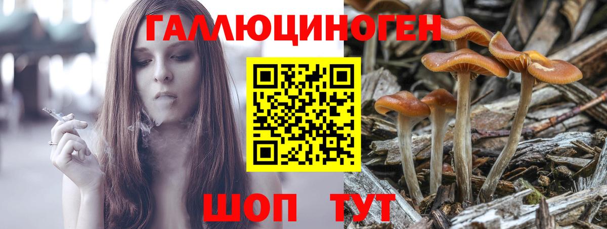 Псилоцибиновые грибы мухоморы Качканар